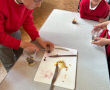 571127354 1289311366330044 565408395445598260 n (1)