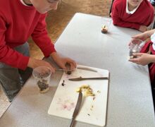 20251024 132211172 iOS