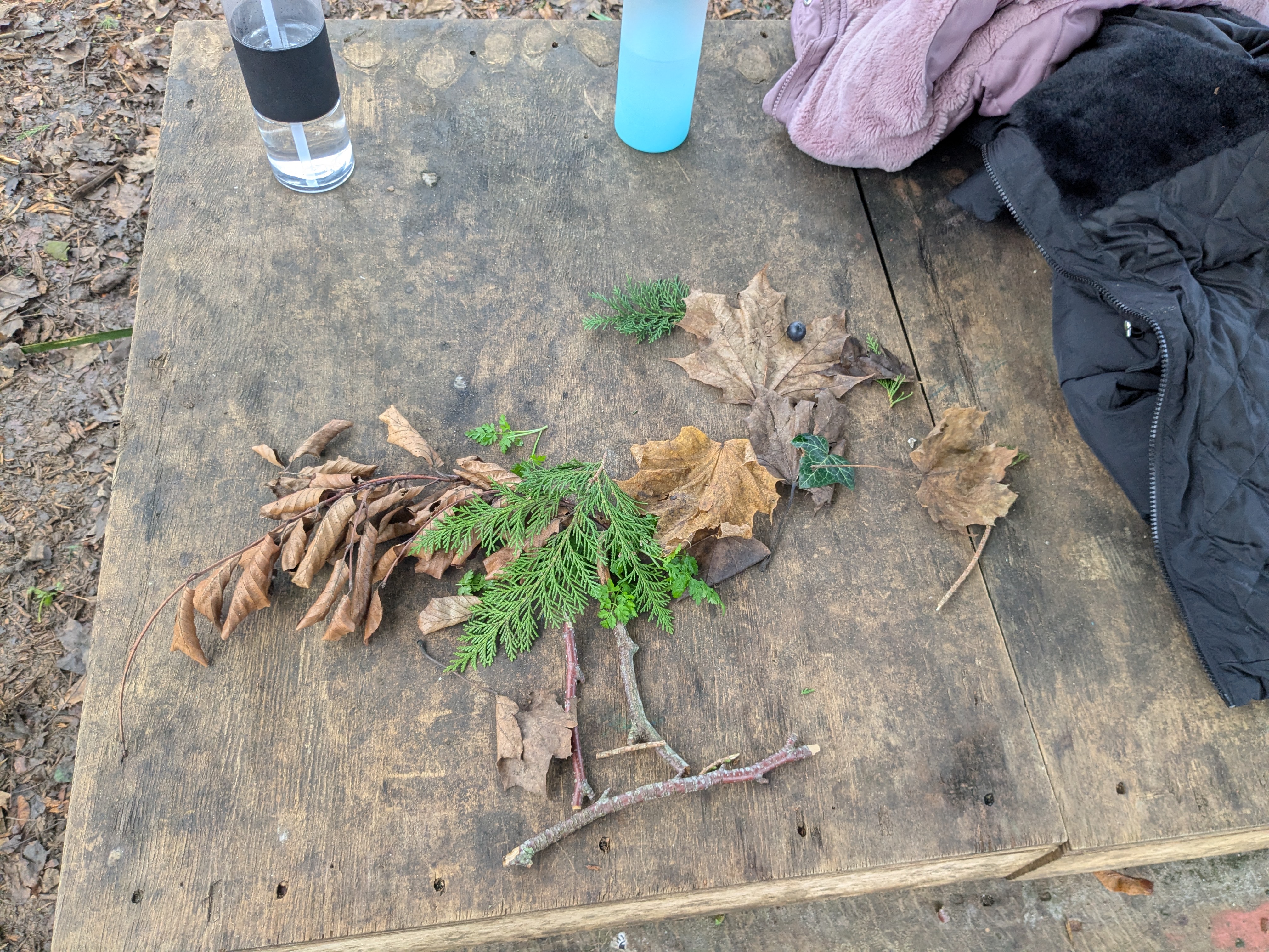 PXL 20260112 134217803