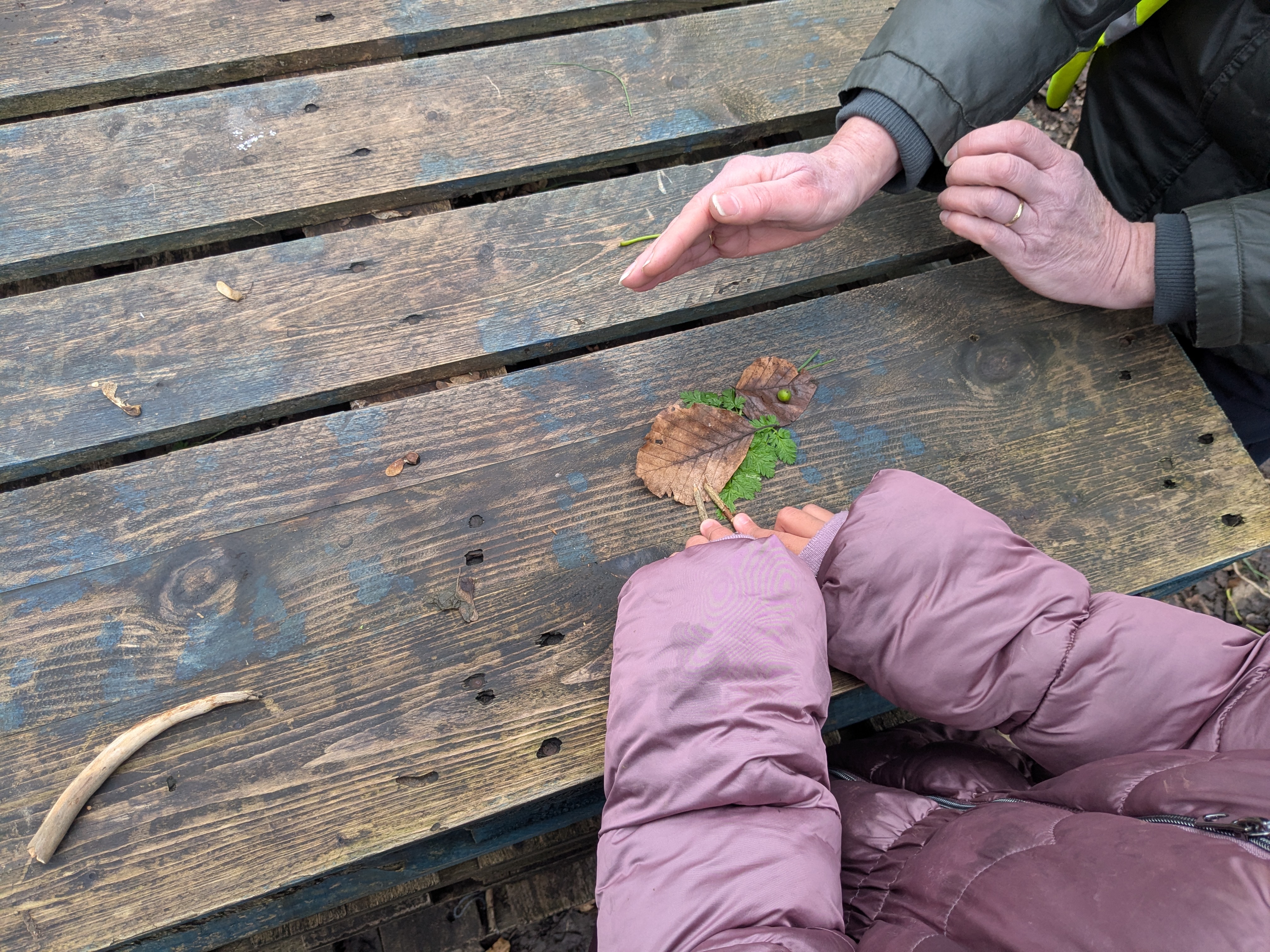 PXL 20260112 134528563