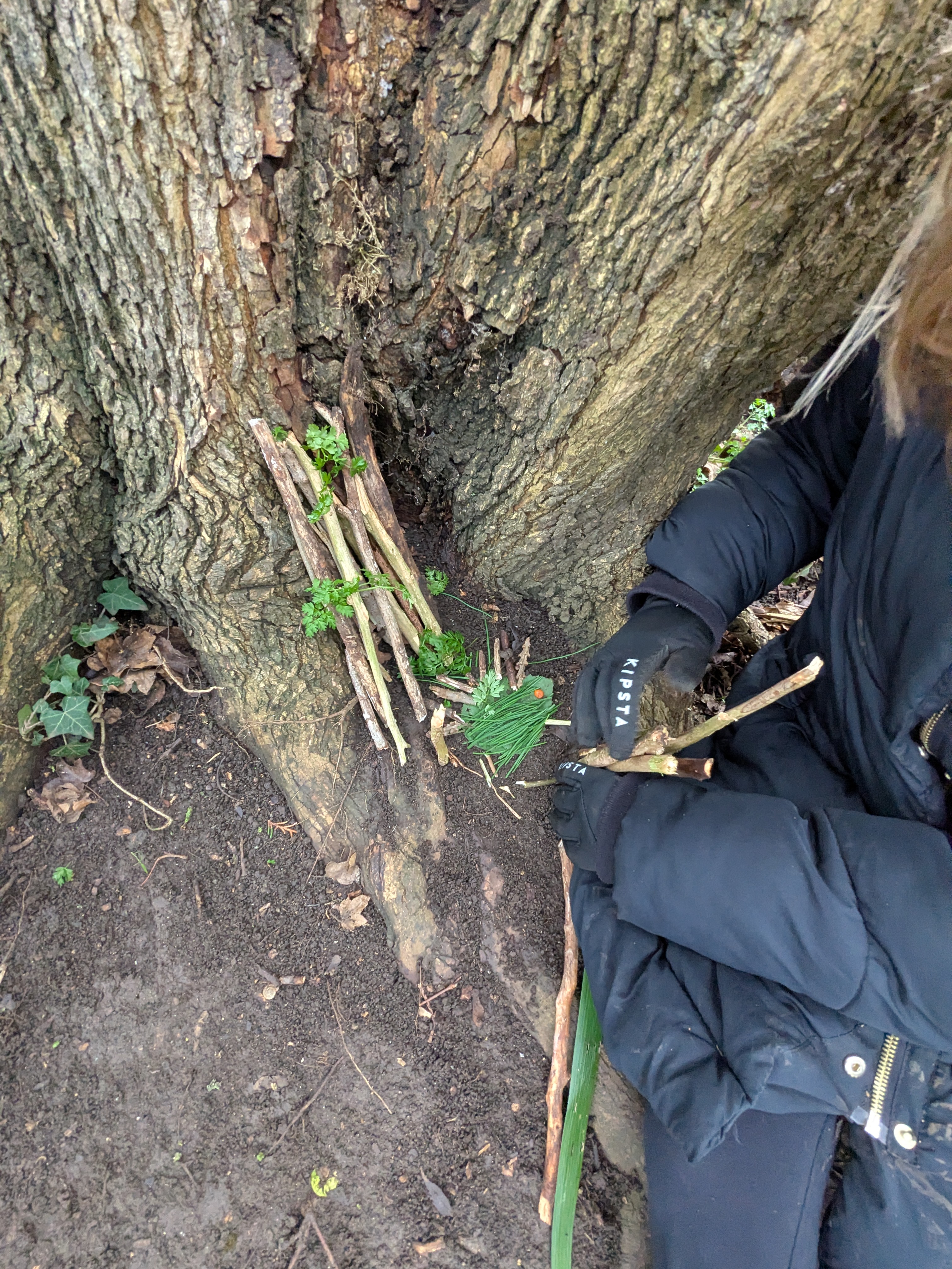 PXL 20260112 135041608